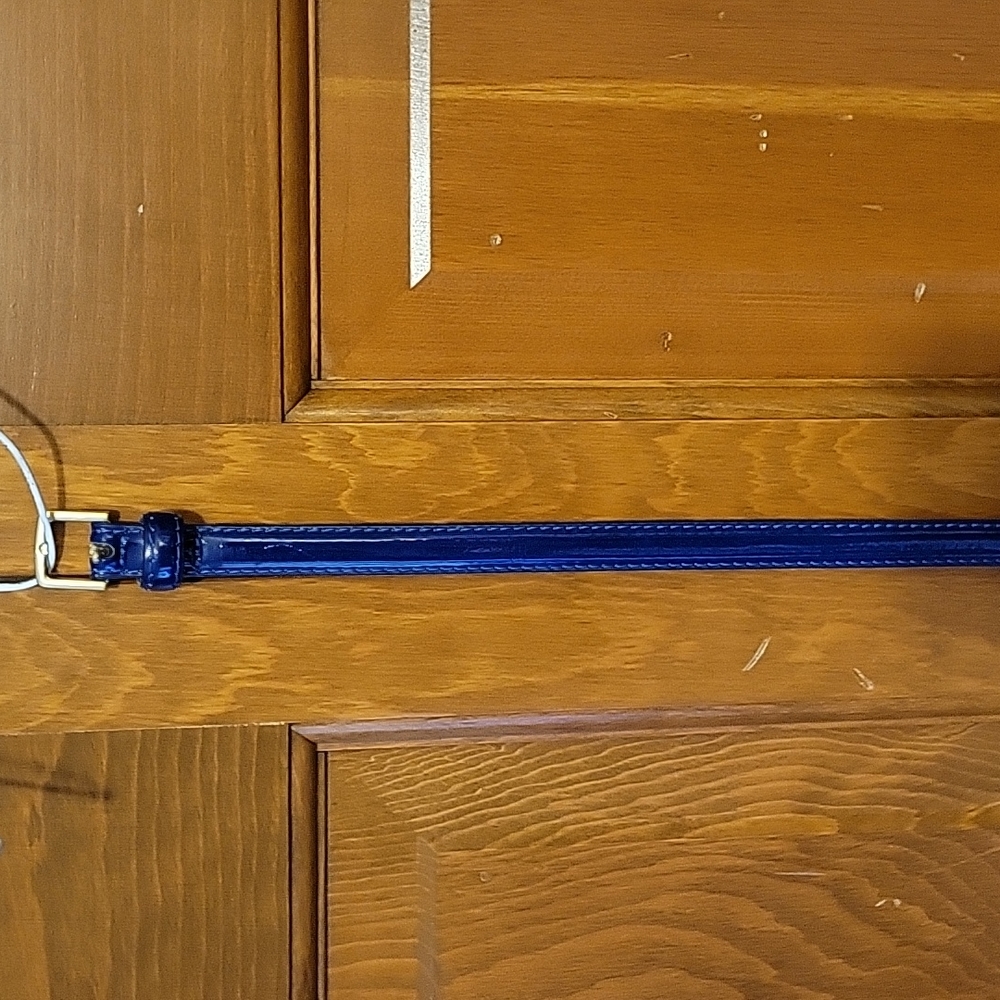 Skinny blue belt